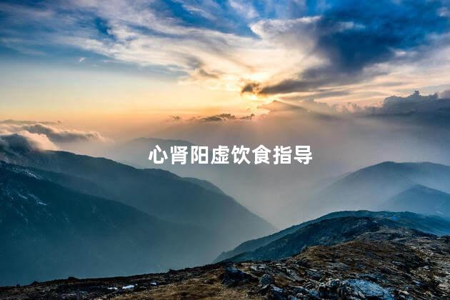 心肾阳虚饮食指导