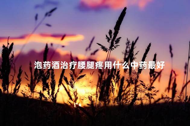 泡药酒治疗腰腿疼用什么中药最好