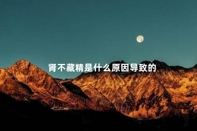 肾不藏精是什么原因导致的