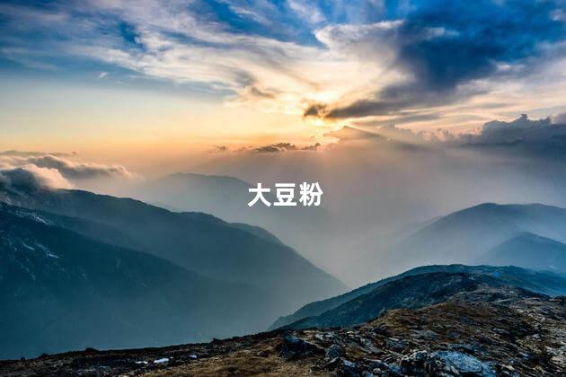 大豆粉