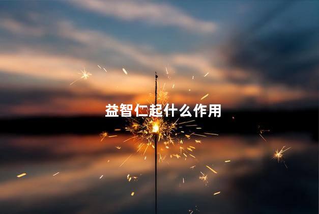 益智仁起什么作用