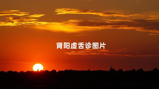 肾阳虚舌诊图片