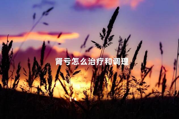 肾亏怎么治疗和调理