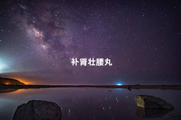 补肾壮腰丸