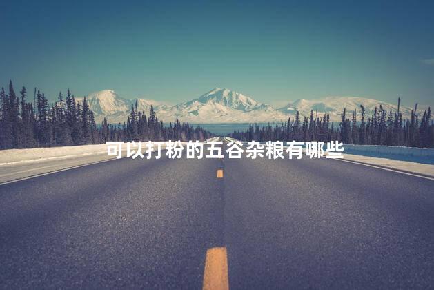 可以打粉的五谷杂粮有哪些