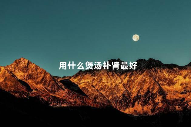 用什么煲汤补肾最好