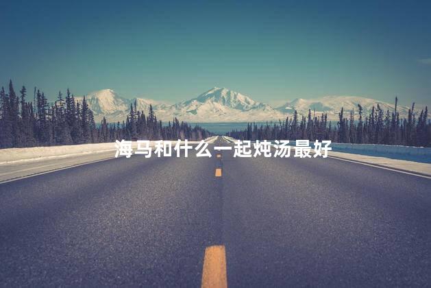 海马和什么一起炖汤最好