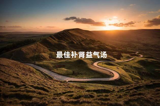 最佳补肾益气汤