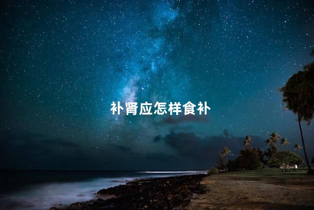 补肾应怎样食补