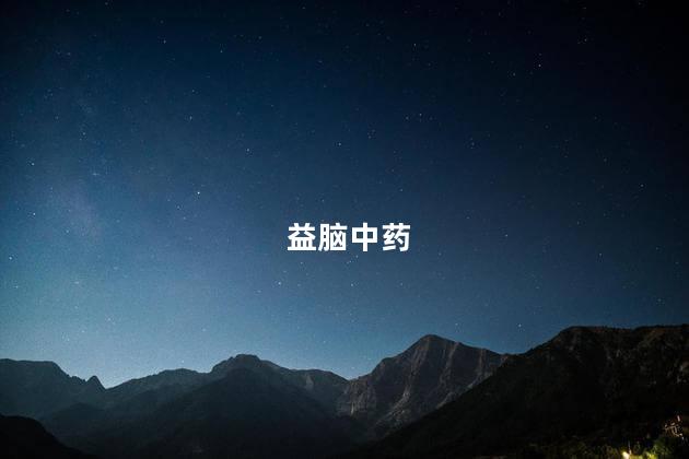 益脑中药