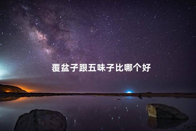 覆盆子跟五味子比哪个好