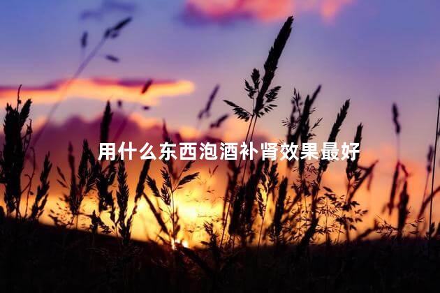 用什么东西泡酒补肾效果最好