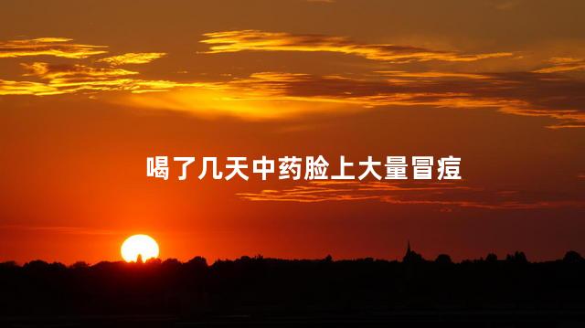 喝了几天中药脸上大量冒痘