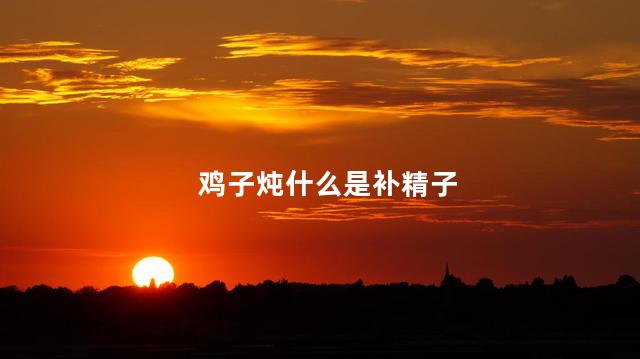 鸡子炖什么是补精子
