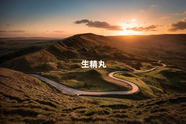 生精丸