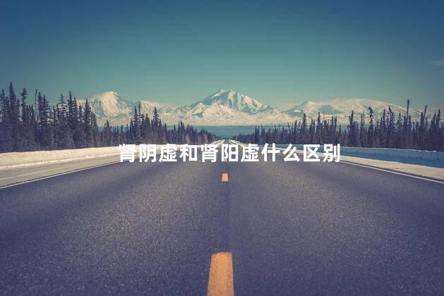 肾阴虚和肾阳虚什么区别