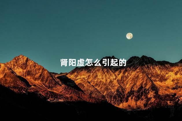 肾阳虚怎么引起的