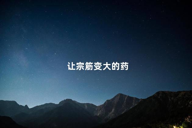 让宗筋变大的药