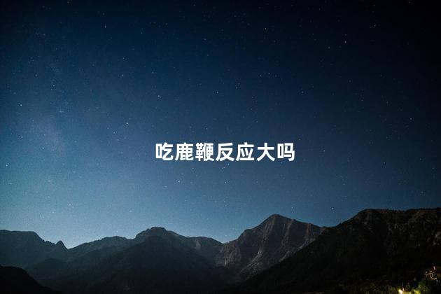 吃鹿鞭反应大吗