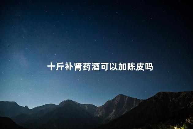 十斤补肾药酒可以加陈皮吗