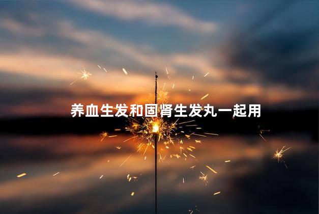 养血生发和固肾生发丸一起用