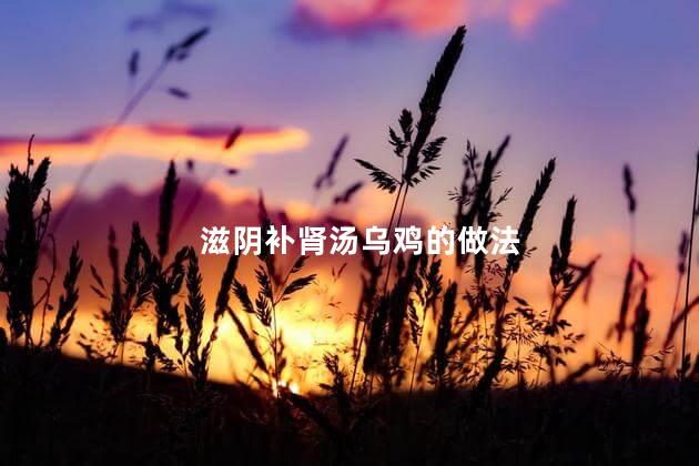 滋阴补肾汤乌鸡的做法