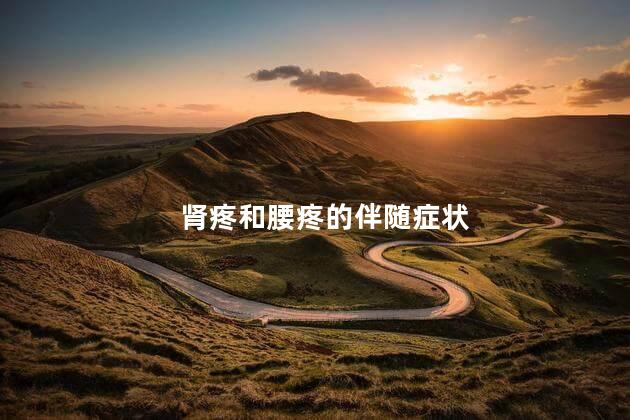 肾疼和腰疼的伴随症状