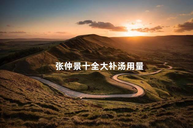 张仲景十全大补汤用量