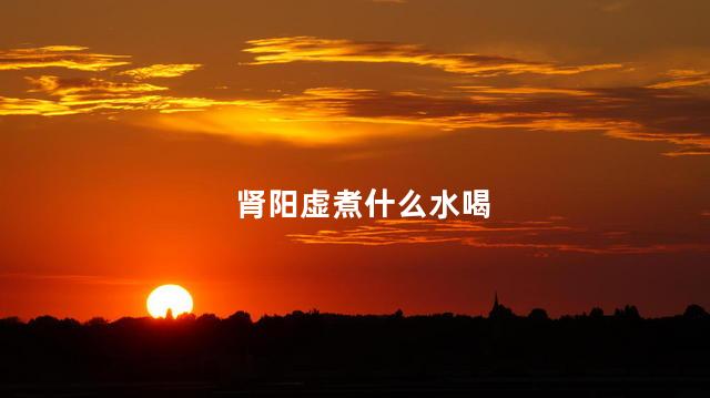 肾阳虚煮什么水喝