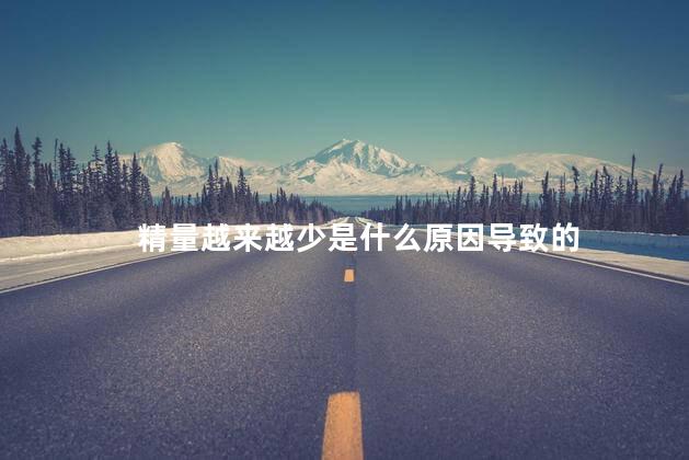 精量越来越少是什么原因导致的