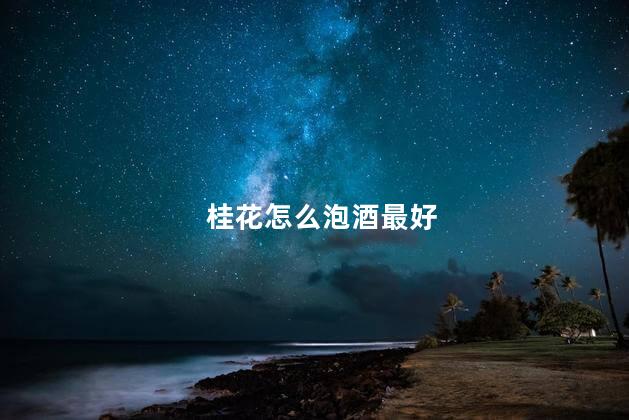 桂花怎么泡酒最好