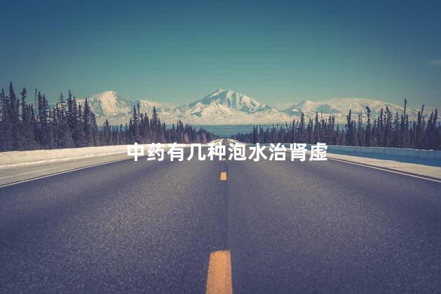 中药有几种泡水治肾虚