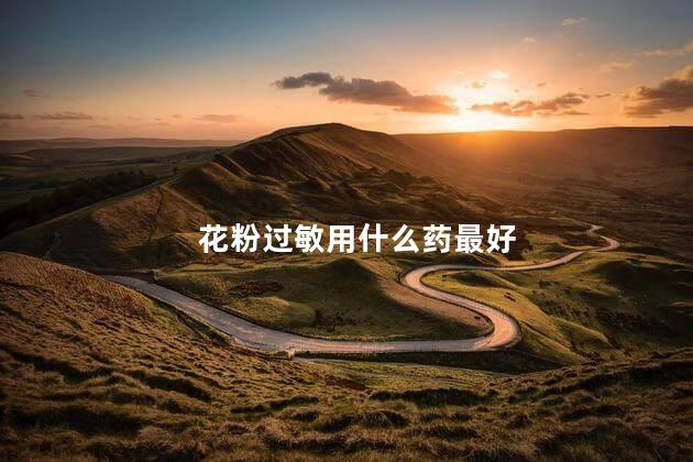 花粉过敏用什么药最好
