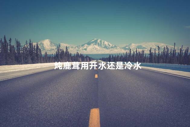 炖鹿茸用开水还是冷水