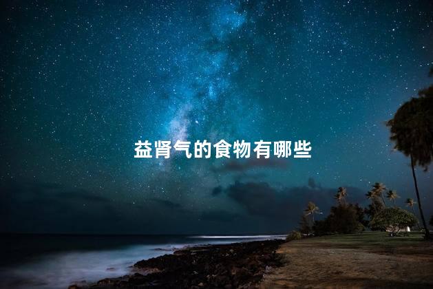 益肾气的食物有哪些