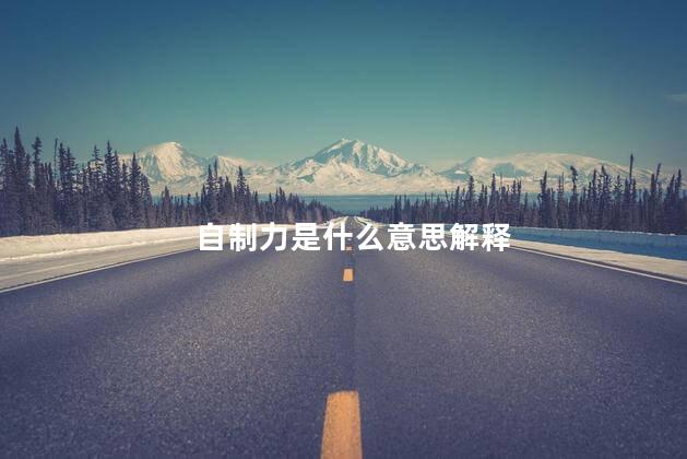 自制力是什么意思解释
