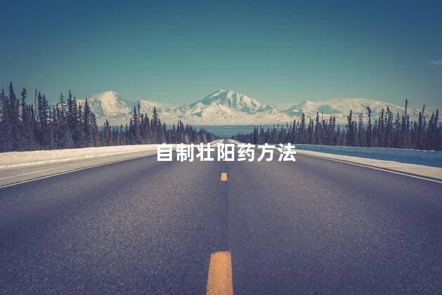 自制壮阳药方法