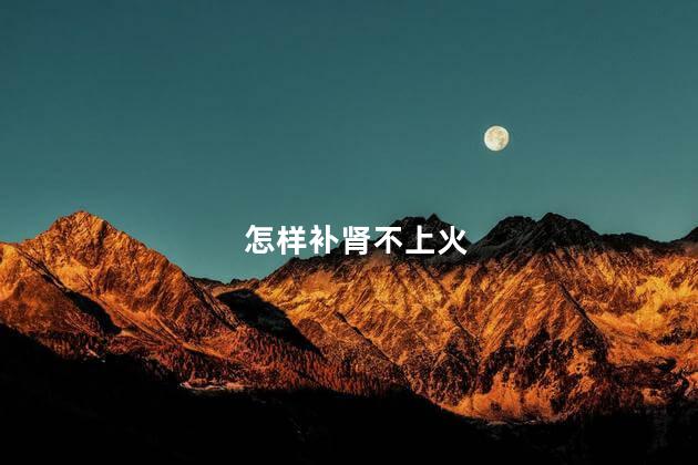 怎样补肾不上火