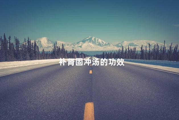 补肾固冲汤的功效