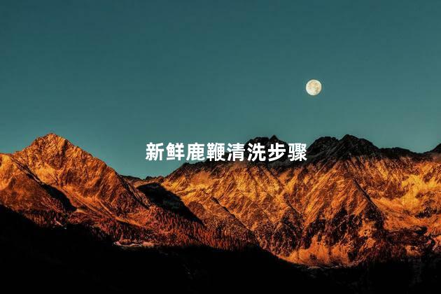 新鲜鹿鞭清洗步骤
