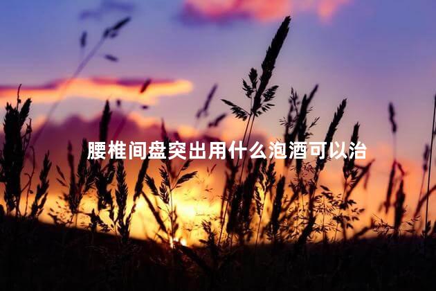 腰椎间盘突出用什么泡酒可以治