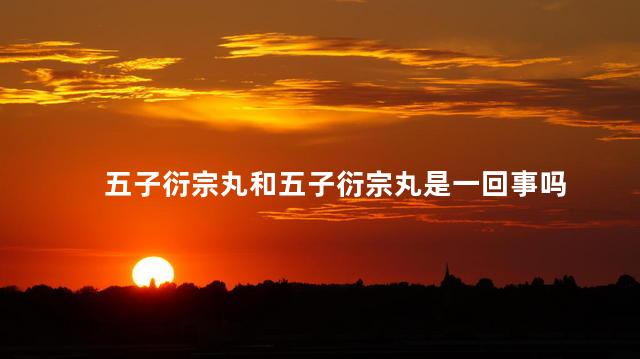 五子衍宗丸和五子衍宗丸是一回事吗
