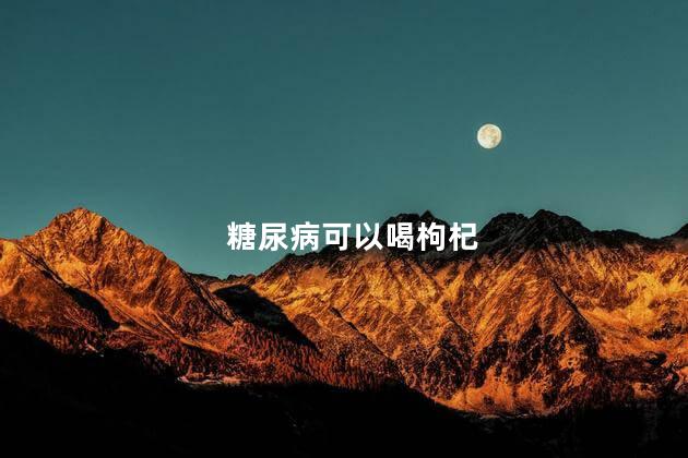 糖尿病可以喝枸杞