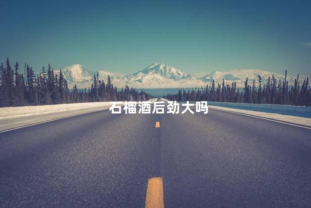 石榴酒后劲大吗