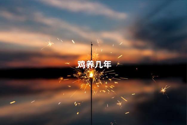 鸡养几年