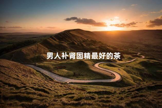 男人补肾固精最好的茶