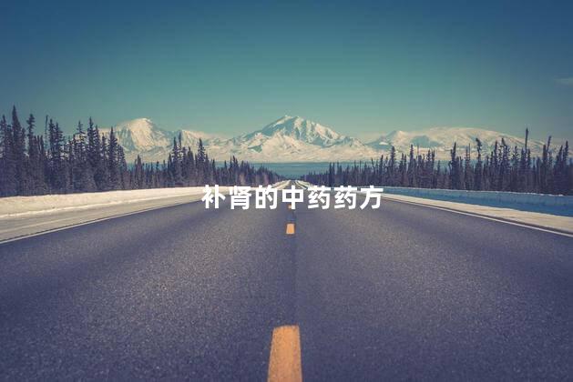 补肾的中药药方