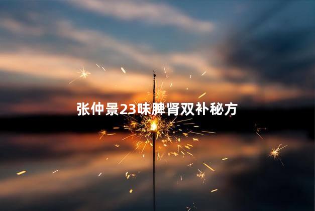 张仲景23味脾肾双补秘方