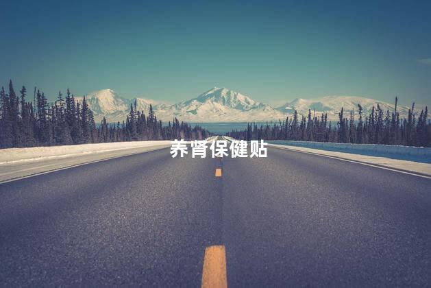 养肾保健贴