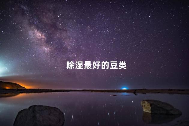 除湿最好的豆类